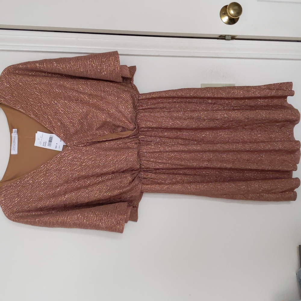 Bronze Dress mid length NWT